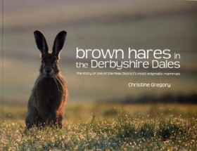 Brown Hare &hellip;