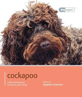 Cockapoo - …