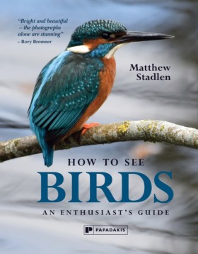 How To See …