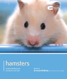 Hamster - …