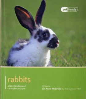 Rabbit - P …