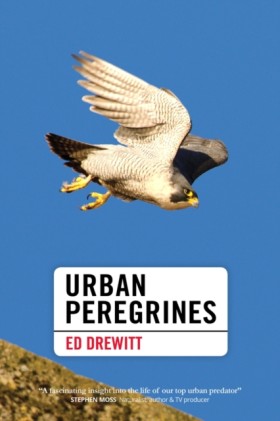 Urban Pere …