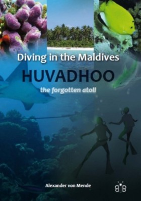 Diving in …