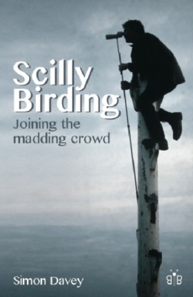 Scilly Bir …