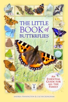 The Little &hellip;