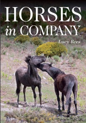 Horses in &hellip;