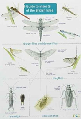 Guide to I &hellip;