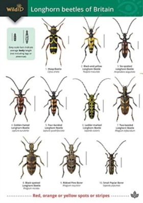 Guide to l &hellip;