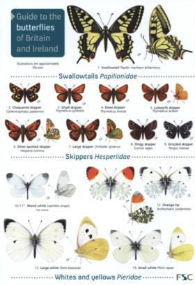 Guide to t &hellip;