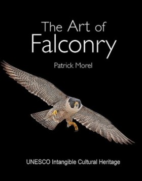 The Art of …