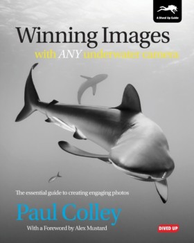 Winning Im …