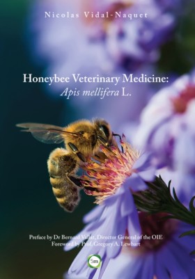 Honeybee V …
