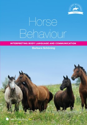 Horse Beha &hellip;