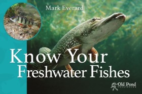 Know Your …