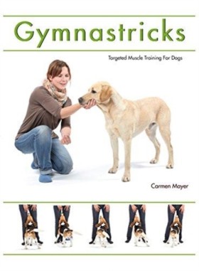 Gymnastric …