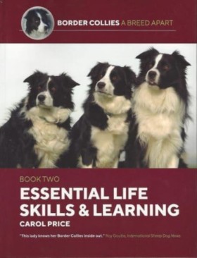 Life Skill &hellip;