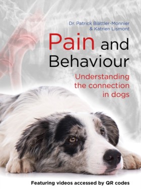 Pain and B &hellip;