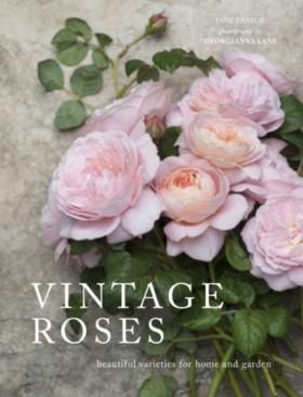 Vintage Ro …