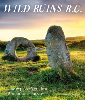 Wild Ruins …