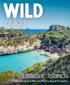 Wild Guide …