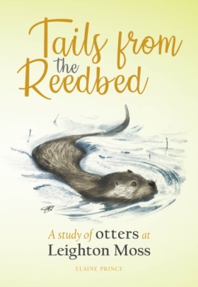 Tails from …