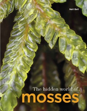 The Hidden …