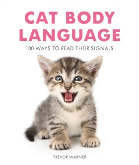 Cat Body L …