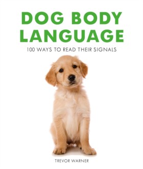 Dog Body L …