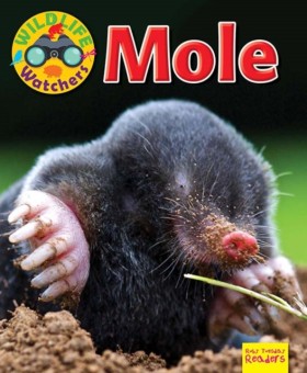Wildlife W …