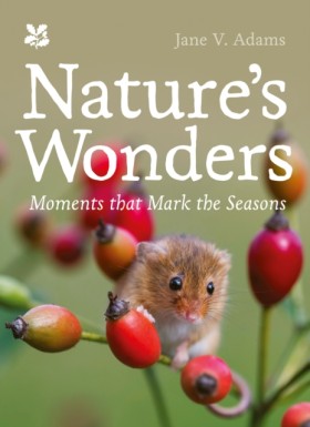 Nature’s W …