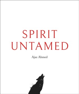 Spirit Unt &hellip;