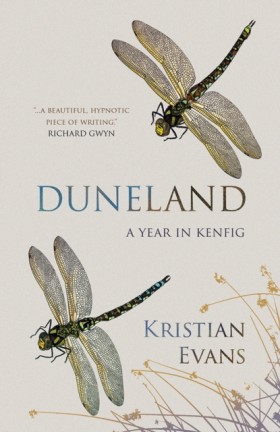 Duneland
