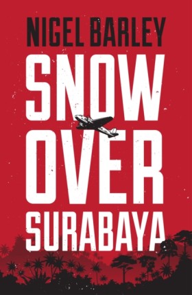 Snow over …