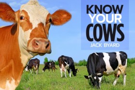 Know Your &hellip;