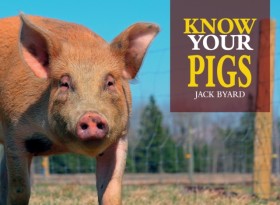 Know Your …