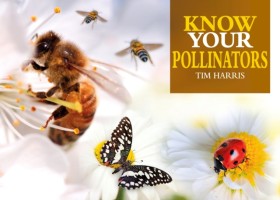 Know Your …