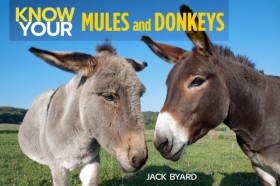 Know Your &hellip;