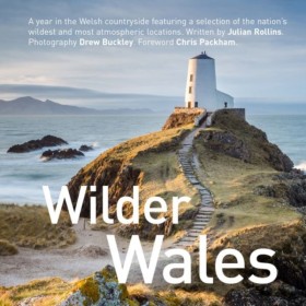 Wilder Wal &hellip;