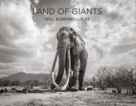 Land of Gi &hellip;