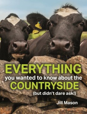 Everything …