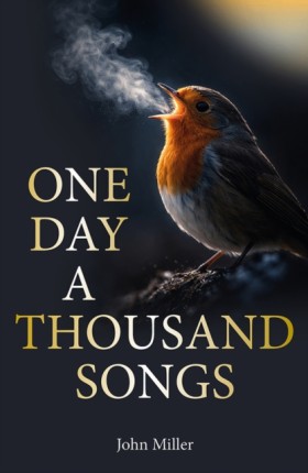 One Day a …