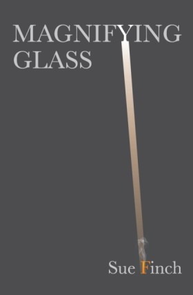 Magnifying &hellip;