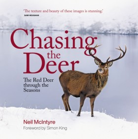 Chasing th …