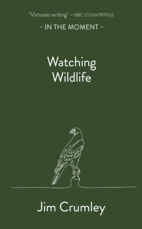 Watching W &hellip;