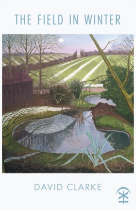 The Field &hellip;