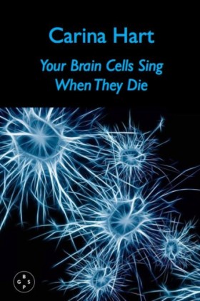 Your Brain &hellip;