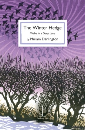 The Winter &hellip;
