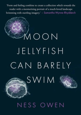 Moon Jelly &hellip;