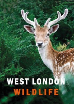 West Londo …
