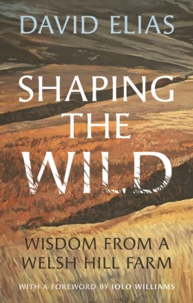 Shaping th …